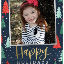Holiday Cards 2018